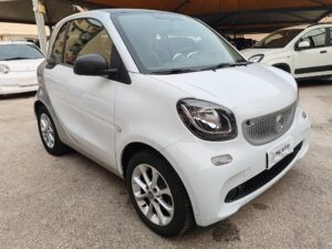Smart For Two Twinamic
